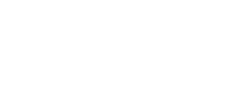 Logo inspetek